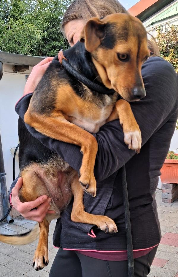 MIRTILLA CAGNOLINA DOLCISSIMA Foto 3